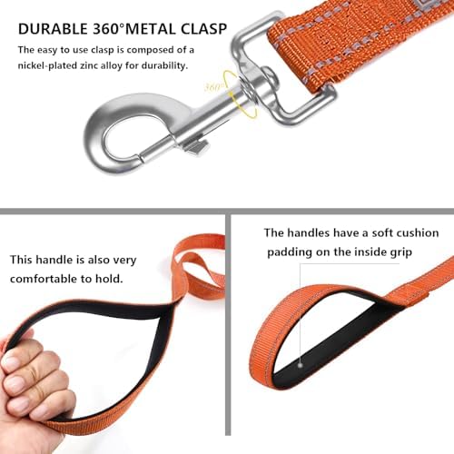 6 FT Basic Dog Leash for Medium Dogs