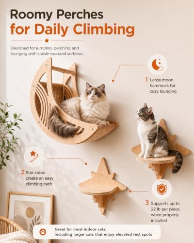 Cat Tree Wall Shelves Shelf Furniture Climbing Beds Systems
