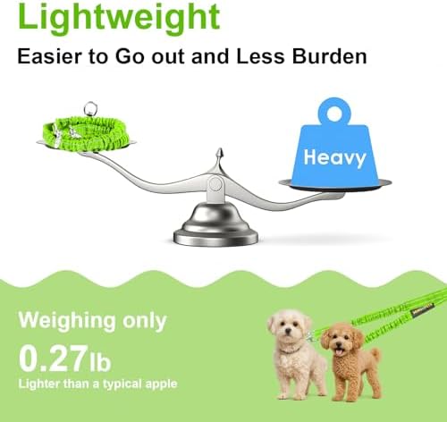MingXpet 2 Dog Leash, Dog Leash