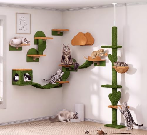 Cactus Floor-to-Ceiling Cat Tree, Adjustable Height