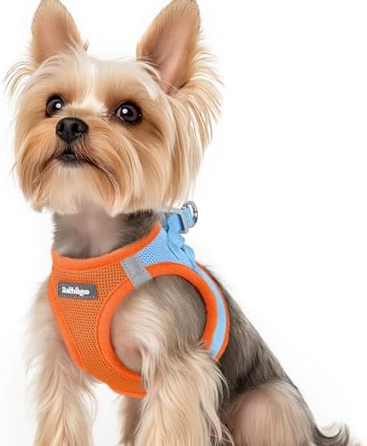 rabbitgoo Step-in Small Dog Harness, Puppy Vest
