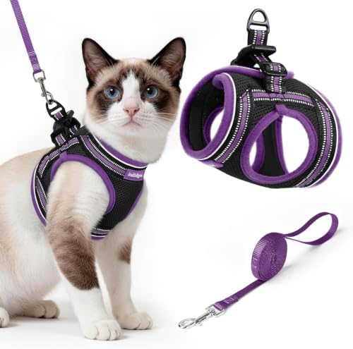 rabbitgoo Cat Harness and Leash Set, Step-in Soft Vest