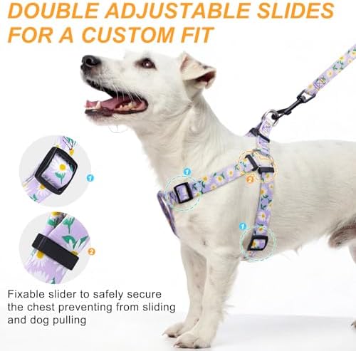 BEAUTYZOO No Pull Dog Harness and Leash Set