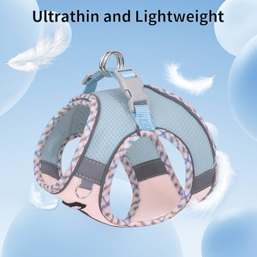AIITLE Teacup Puppy Harness and Leash Set Escape-Proof