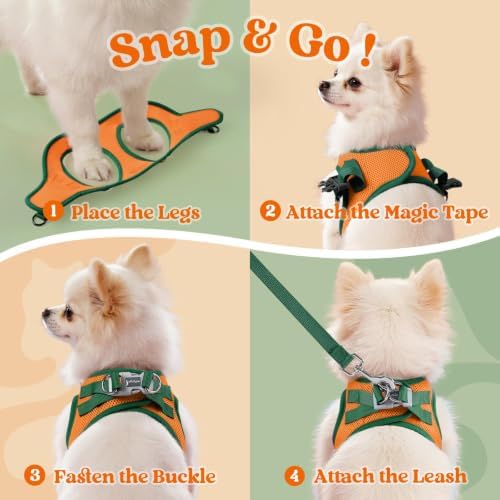 rabbitgoo Dog Harness Small Sized and Leash Set, Step in Soft Vest