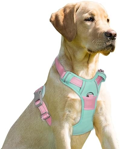 BARKBAY Dog Harness No Pull for Small Sized Dog Front Back Clips, Dog Vest