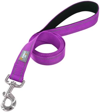 6 FT Basic Dog Leash for Large Dogs, Padded Handle
