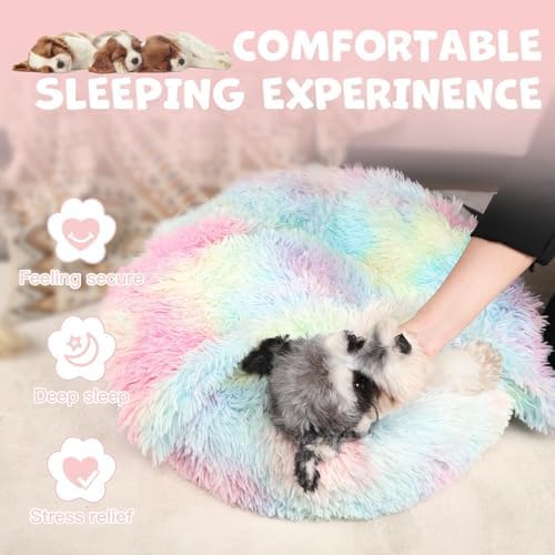 Himax Covered Large Dog Bed