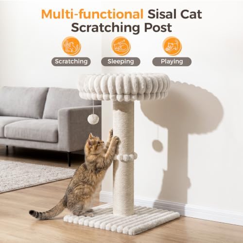 Avont Modern Cloud Cat Scratching Post