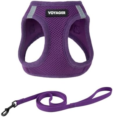 Voyager Step-in Air Cat Harness & Leash Set