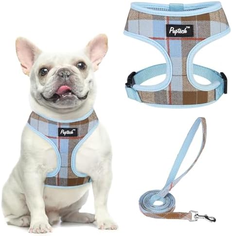 PUPTECK Small Dog Harness and Leash Set No Pull