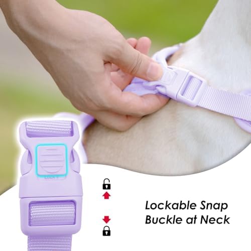 Sunraymascota No Pull Dog Harness