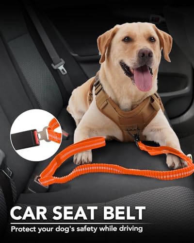 Joytale Tactical Bungee Dog Leash, Shock Absorbing No Pull