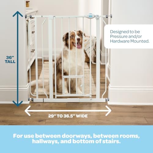 Carlson 36" Extra Tall Walk Through Dog Gate