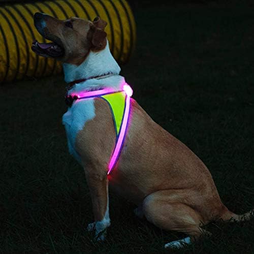 noxgear LightHound Light Up Reflective Dog Harness