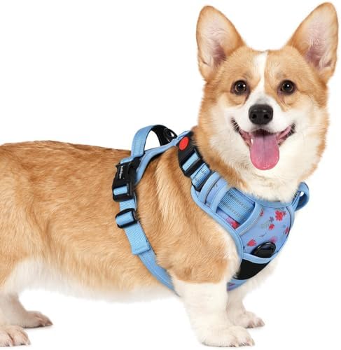 rabbitgoo Dog Harness Small Sized, Updated Easy On & Off