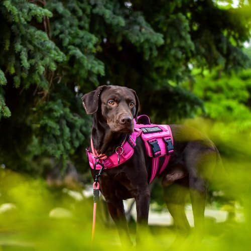 Dog Harness for Large Dogs, No Pull Tactical Vest