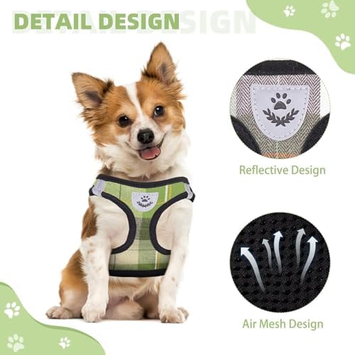 KOOLTAIL Dog Harness and Leash Set