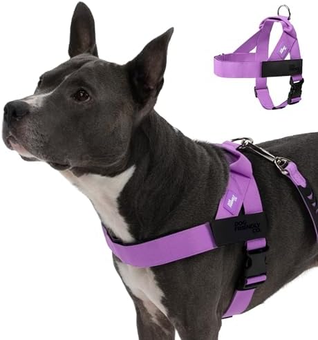 Dog Friendly Co. Dog Harness for Small Dogs