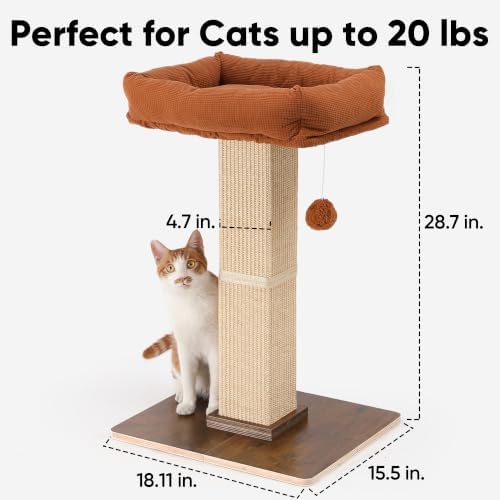 FUKUMARU Retro-Style Cat Scratching Post