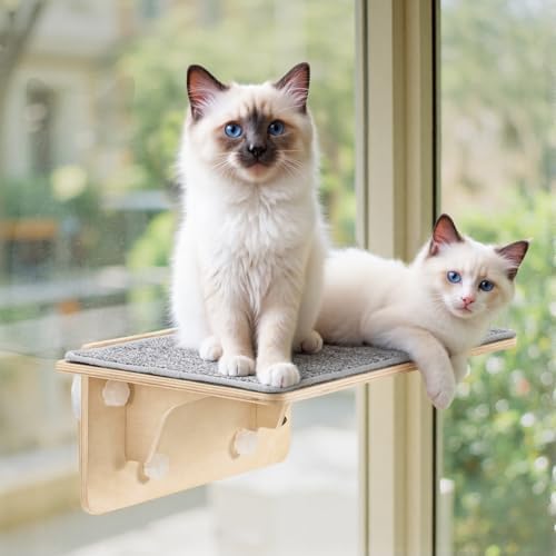 Pecute 2-in-1 Large Cat Window Perch & Wall Shelves, Solid Wood