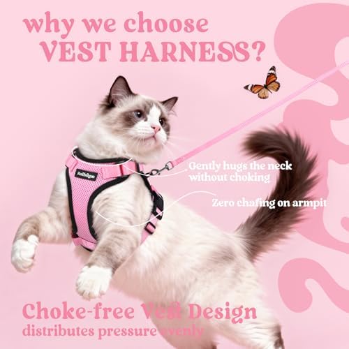rabbitgoo Cat Harness and Leash Set, Escape Proof Vest