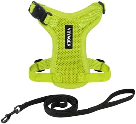 Voyager Step-in Lock Cat Harness & Leash Set