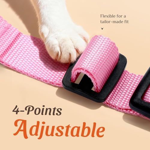 Dooradar Cat Harness and Leash Set, Adjustable and Escape Proof