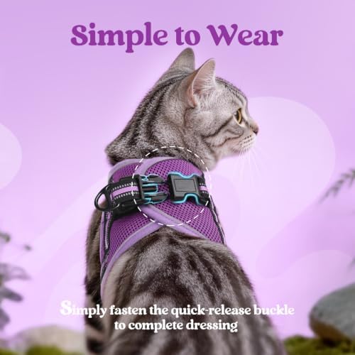 rabbitgoo Cat Harness and Leash Set, Step-in Soft Vest