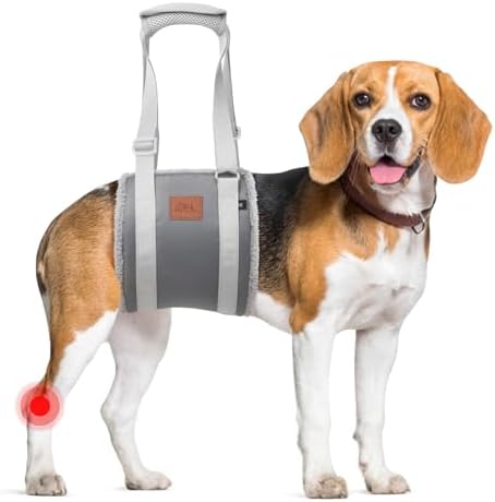 Adjustable Dog Sling for Medium Dogs Soft Post-ACL Surgery Mobility Aid