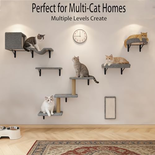 Cat Wall Shelves