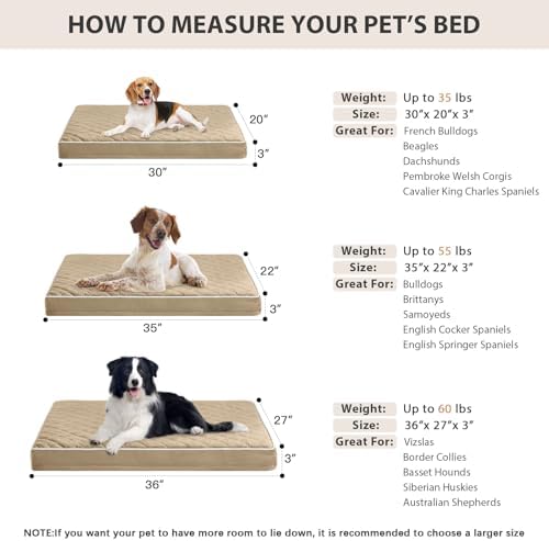 WNPETHOME Orthopedic Waterproof Dog Bed Medium