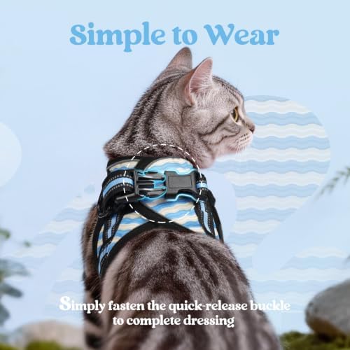 rabbitgoo Cat Harness and Leash Set, Step-in Soft Vest