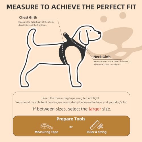 PUPTECK Dog Harness, Collar and Leash Set No Pull
