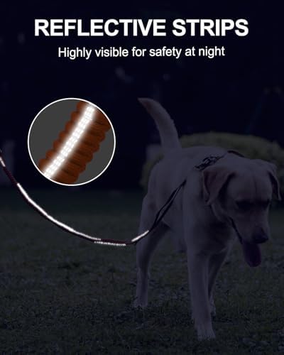 Joytale Tactical Bungee Dog Leash, Shock Absorbing No Pull