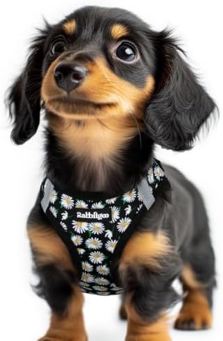 rabbitgoo Step-in Small Dog Harness, Puppy Vest