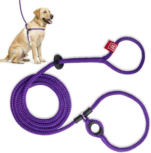 Harness Lead No Pull Dog Harness and Leash Set, Anti Pull Dog Harness,
