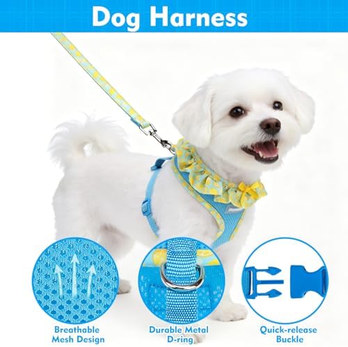 EXPAWLORER Step-in Dog Harness Small Sized and Leash Set