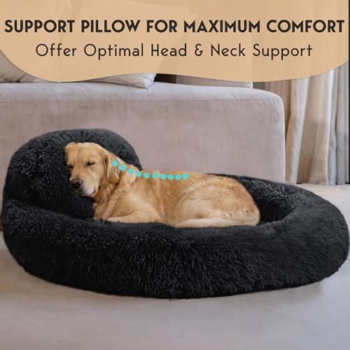 XL Dog Beds for Large Sized Dog