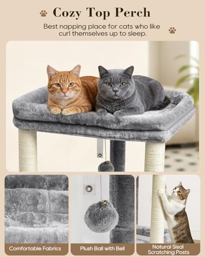 SYANDLVY Small Cat Tree with 2-Tier Perch Platforms, Scratching Post Tower