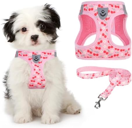 KOOLTAIL Dog Harness for Small Medium Dogs, Dog Harness and Leash Set, Step in
