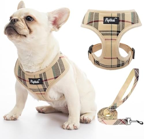PUPTECK Small Dog Harness and Leash Set No Pull