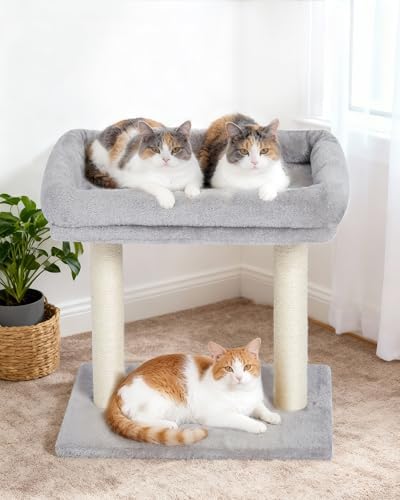 19" Small Cat Tree with Scratching Post