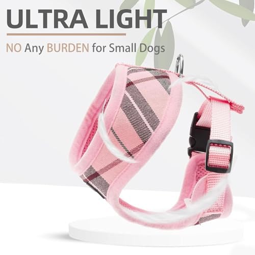 PUPTECK Small Dog Harness and Leash Set No Pull