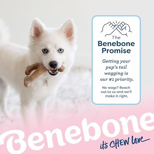 Benebone Puppy Wishbone Dog Chew Toy