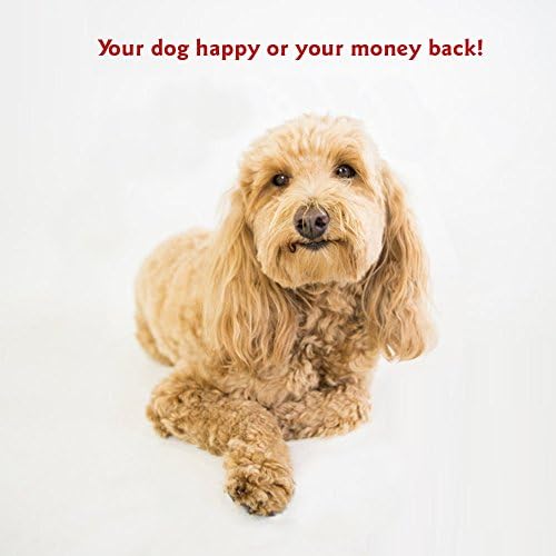 Majestic Pet Bagel Calming Dog Bed, 32 Inch Medium