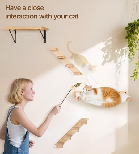 Cat Wall Shelves Set of 4,
