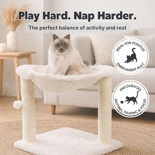 TRIXIE Baza XXL 19.7-in Cat Tree