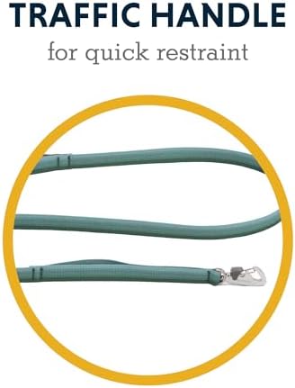 Ruffwear, Front Range Dog Leash, 5 ft Lead, River Rock Green