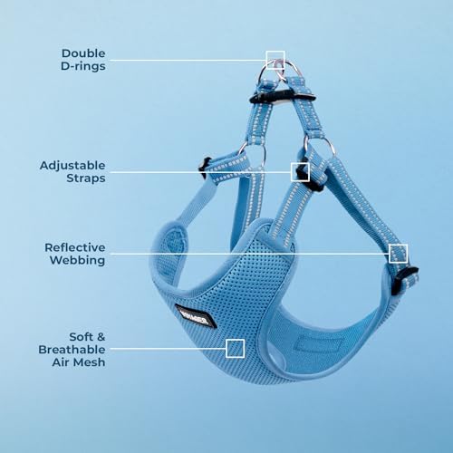 Voyager Step-in Flex Adjustable Dog Harness